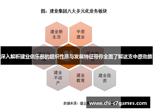 深入解析建业俱乐部的组织性质与发展特征带你全面了解这支中原劲旅